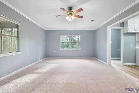 37405 Walker North Rd, Walker, LA 70785 photo 3