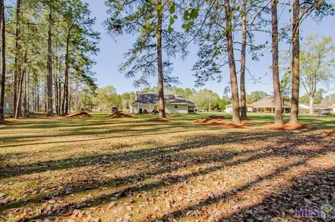 33852 Nancy Dr, Walker, LA 70785 photo 19
