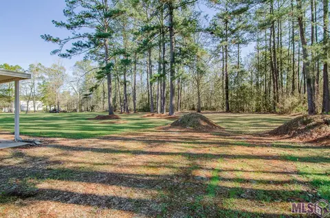 33852 Nancy Dr, Walker, LA 70785 photo 18