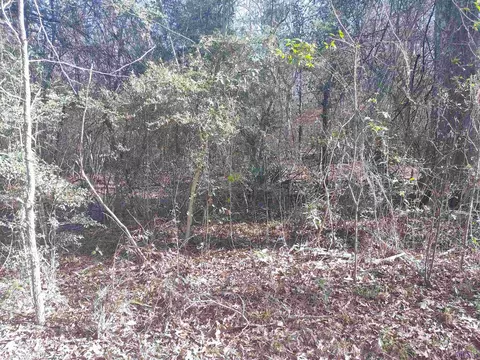 tbd Washington Ln, Greenwell Springs, LA 70739