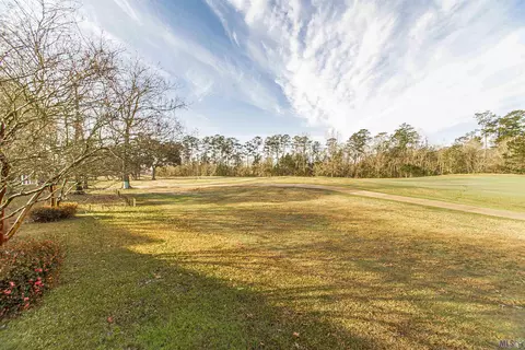 23775 Monarch Pt, Springfield, LA 70462 photo 21
