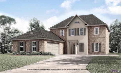 31003 Wild Iris Way, Springfield, LA 70462 photo 1