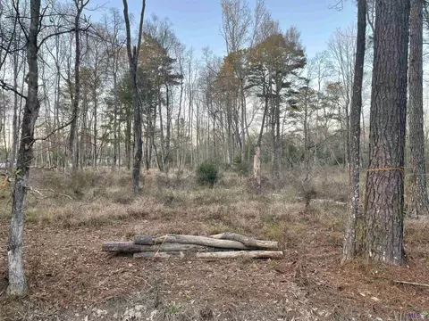 lot3 C George Watts Rd, Livingston, LA 70754