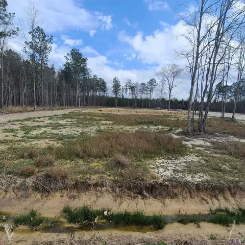 19142 Lost Oak Ln, Livingston, LA 70754
