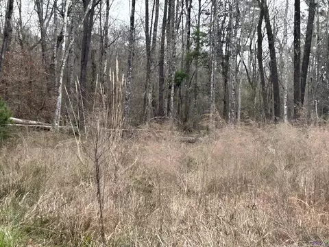 lot37 Brooks Dr, Denham Springs, LA 70726