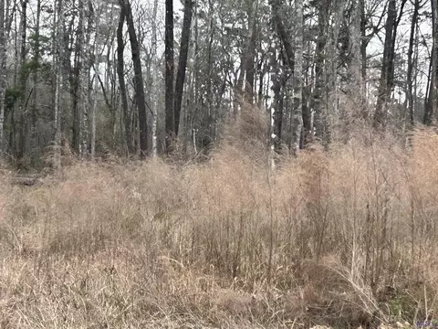 lot35 Brooks Dr, Denham Springs, LA 70726