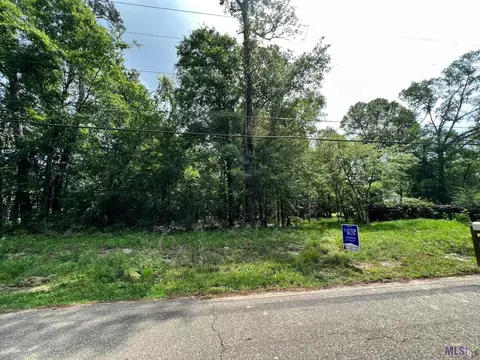 28650 Magnolia Dr, Walker, LA 70785 photo 2