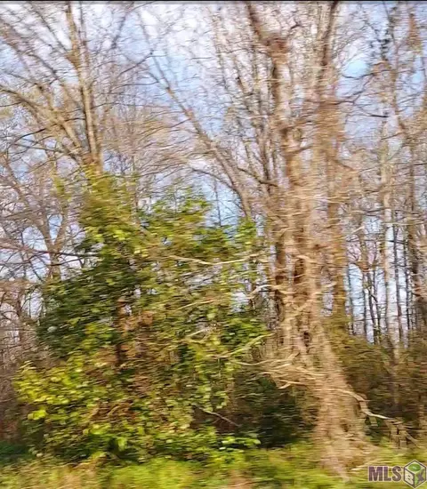 lot50 A El Scott Ave, Baton Rouge, LA 70811