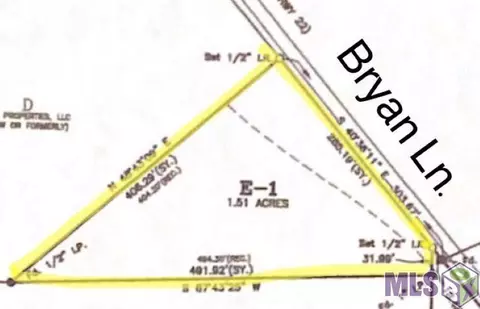 Tract E-1 Bryan Ln, Maurepas, LA 70449