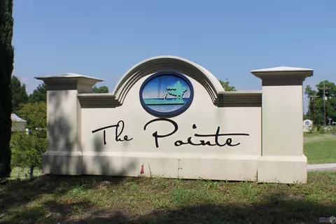 7712 Cutt Pointe Dr, Ventress, LA 70783