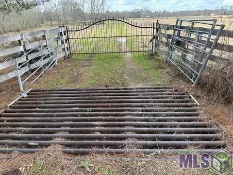23875 Riley Rd, Pride, LA 70770 photo 3