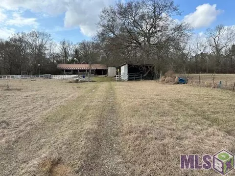 23875 Riley Rd, Pride, LA 70770 photo 4