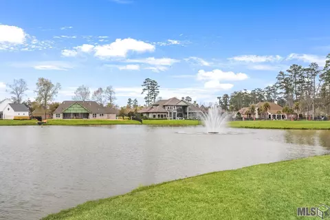23872 Monarch Pt, Springfield, LA 70462 photo 41