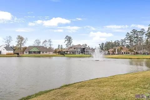 23872 Monarch Pt, Springfield, LA 70462 photo 42
