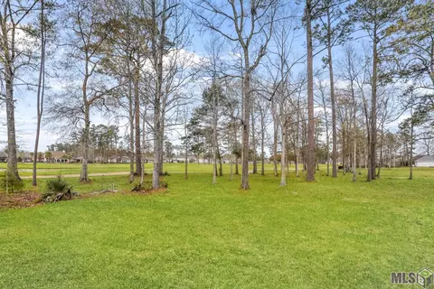 23872 Monarch Pt, Springfield, LA 70462 photo 39