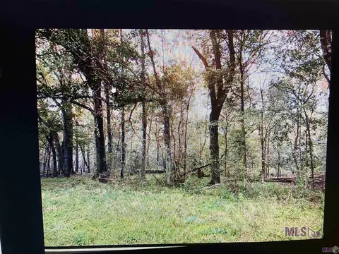 1 2 Line Rd # -B, Ethel, LA 70730