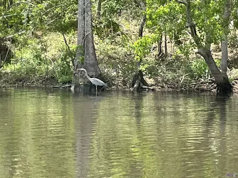 River Pines Ext, Springfield, LA 70462