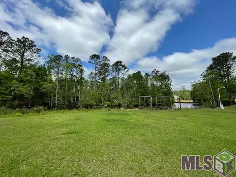 River Pines Ext, Springfield, LA 70462 photo 6
