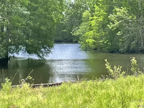 River Pines Ext, Springfield, LA 70462 photo 3