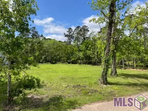 River Pines Ext, Springfield, LA 70462 photo 4