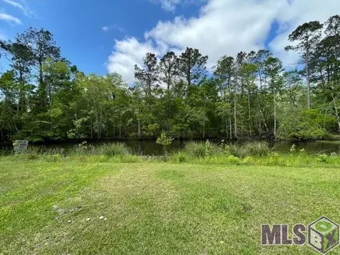 River Pines Ext, Springfield, LA 70462 photo 7
