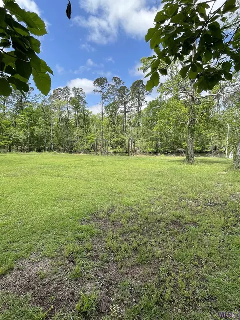 River Pines Ext, Springfield, LA 70462 photo 12