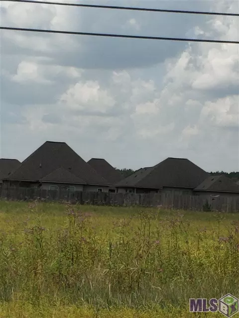 28251 S Frost Rd, Livingston, LA 70754