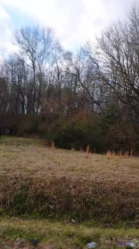 lot111 El Scott Ave, Baton Rouge, LA 70811