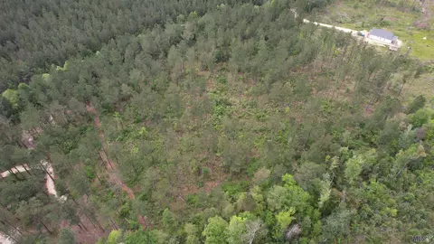 lot10 Mclin Rd, Pine Grove, LA 70453