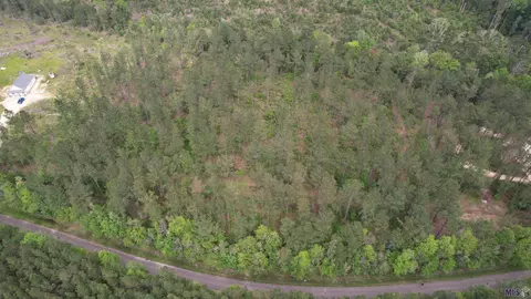 lot9 Mclin Rd, Pine Grove, LA 70453