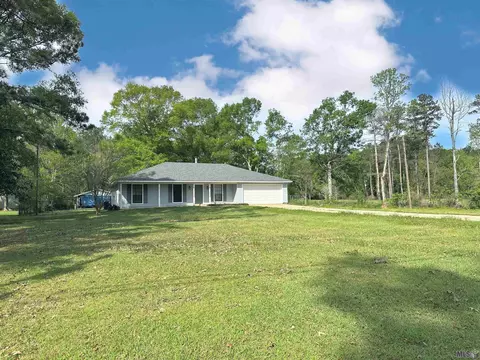 33585 Nancy Dr, Walker, LA 70785 photo 2
