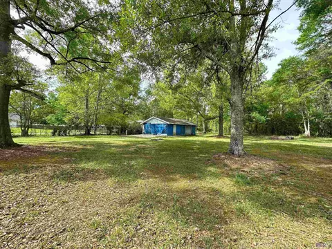 33585 Nancy Dr, Walker, LA 70785 photo 13