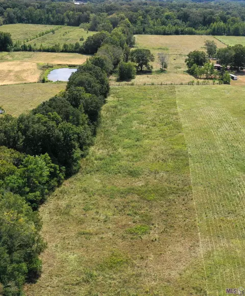 lot A-1-a-1 Core Ln, Central, LA 70714