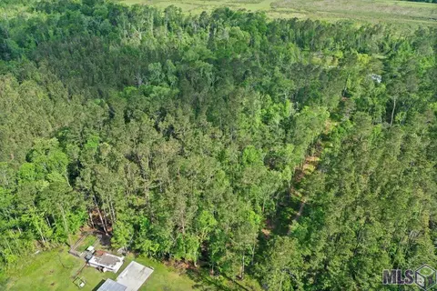 24711 Abernathy Rd, Springfield, LA 70462 photo 6