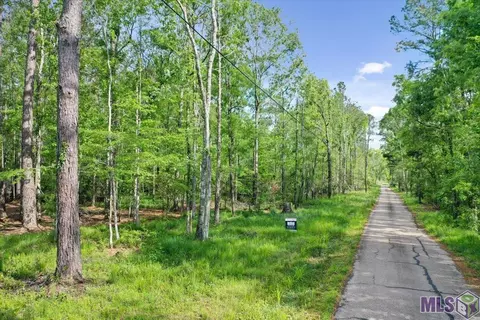 24711 Abernathy Rd, Springfield, LA 70462 photo 12