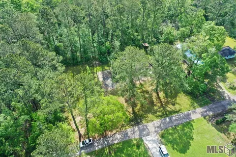 24711 Abernathy Rd, Springfield, LA 70462 photo 2