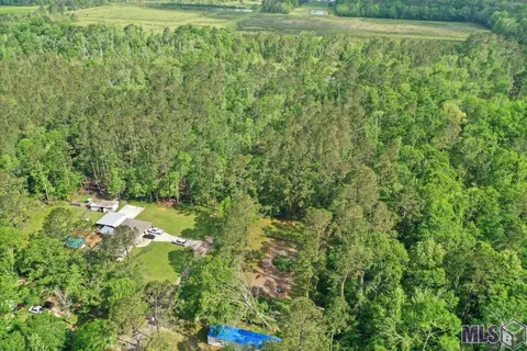 24711 Abernathy Rd, Springfield, LA 70462 photo 11