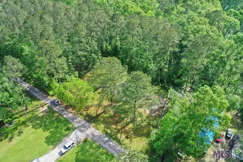 24711 Abernathy Rd, Springfield, LA 70462 photo 5