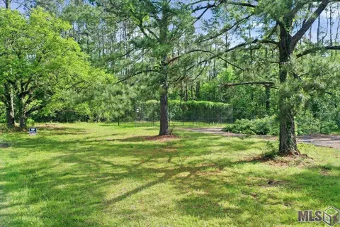 24711 Abernathy Rd, Springfield, LA 70462