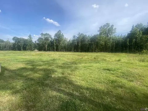 23697 S Frost Rd, Livingston, LA 70754