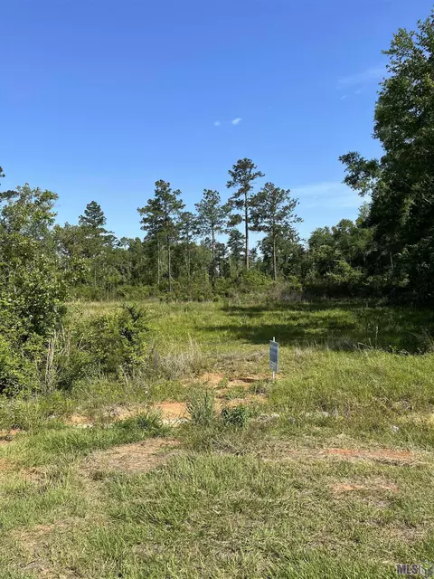 lot1 La Hwy 16, Amite, LA 70422