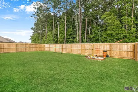 34879 Spring Trails Dr, Walker, LA 70785 photo 8