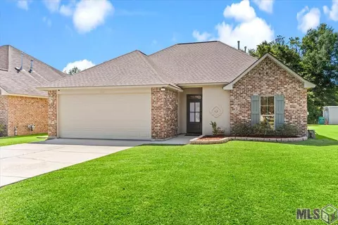 17718 H S Brignac Dr, French Settlement, LA 70733