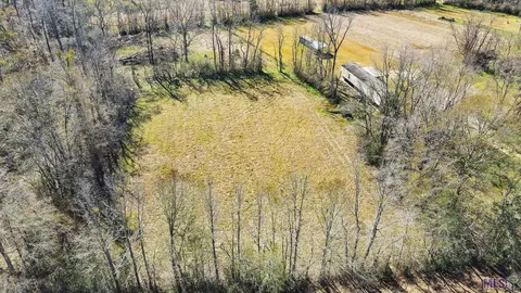 tbd La Hwy 1041, Pine Grove, LA 70744