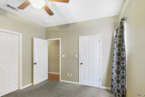 30245 Daffodil Dr, Walker, LA 70785 photo 9
