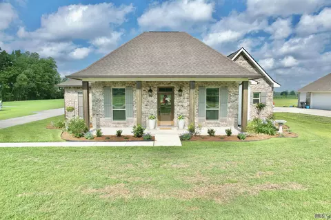 10163 W Robert Wilson Rd, Gonzales, LA 70737
