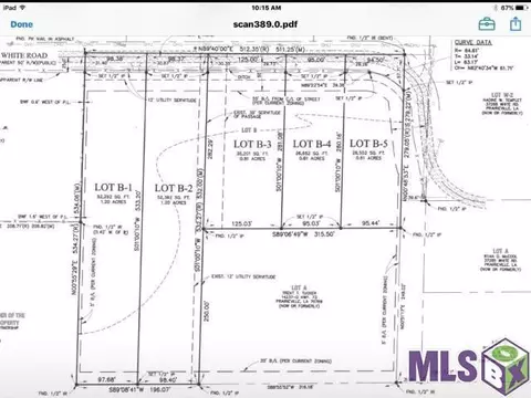 lot B-2 White Rd, Prairieville, LA 70769