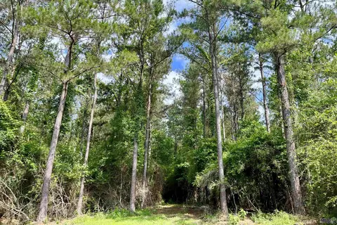 06 Hall And Lindsey Rd, Greensburg, LA 70441