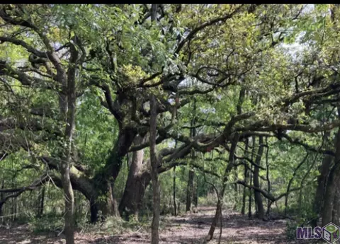 Tract B Milton Rd, Hammond, LA 70401