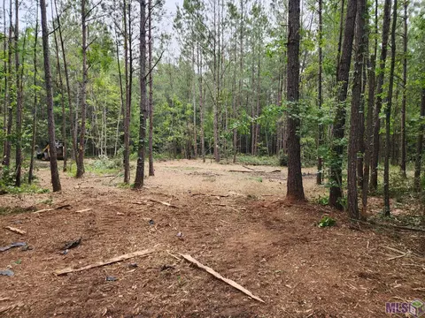 2 Louisiana 43, Independence, LA 70443